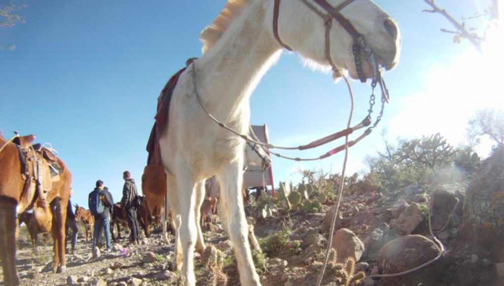 RUTA 1 / DÍA 06