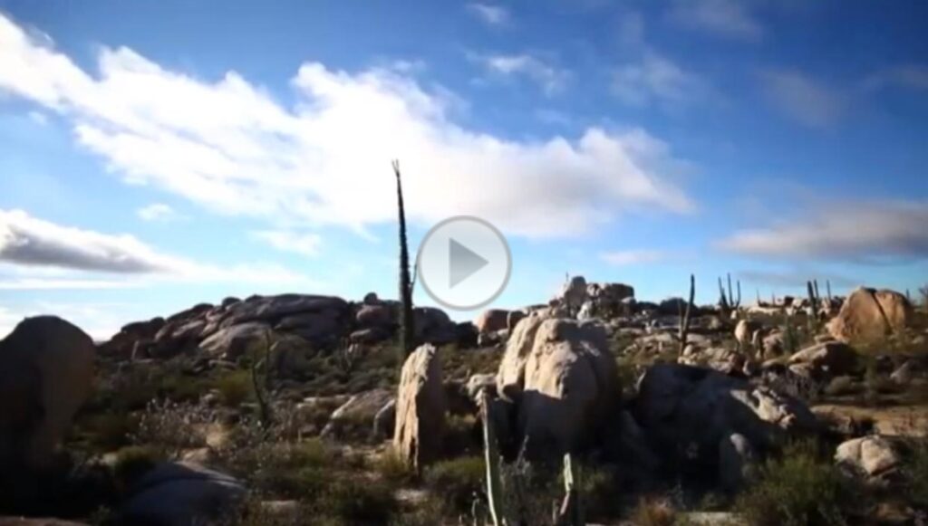 PORTADA VIDEO ADELANTO ICONO